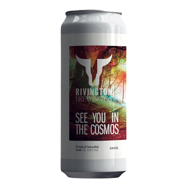 See You In The Cosmos